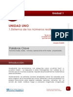 Lectura - Numeros Reales PDF