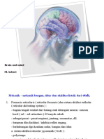 3,4,5.brain and Mind, PPT