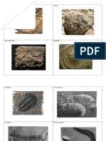 ltm 612 geologic organisms