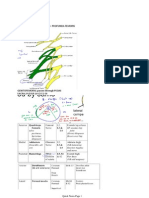 LOCO Revision: External Iliac - Femoral - Profunda Femoris Lumbar Plexus T12 L1-L4
