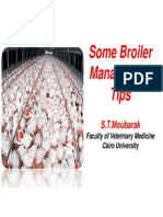 Management tips for Broiler Farms