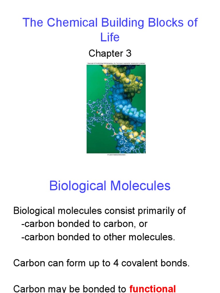Biological Molecules and Their Functions | PDF | Nucleic Acids ...