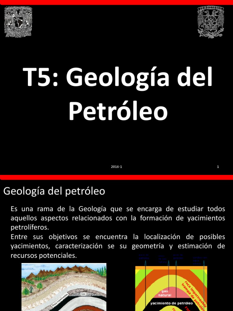 Geología Del Petroleo Depósito de petróleo Roca (geología)