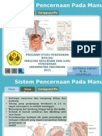 Anfistuman Usus