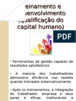 Aula 6 Treinamento e Desenvolvimento