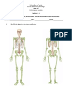 3er Pacial BIOL 313