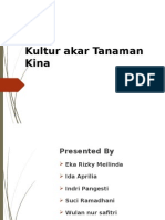 Kultur Jaringan