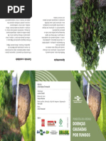 Folder Doencas Pimenta