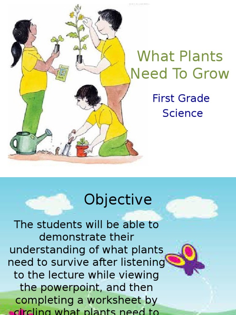 What Plants Need To Grow First Grade Science Plants Nutrients