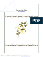 119917678-Ervas-do-Sitio.pdf