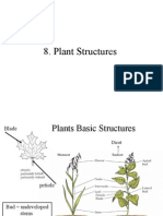 8.Plant+Structure