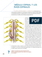 Principios Anatomia y Fisiologia 13ed Tortora