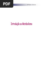 1 -Slides Metabolismo