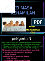 Gizi Masa Kehamilan New