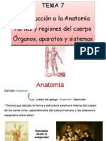 Introducción A La Anatomía
