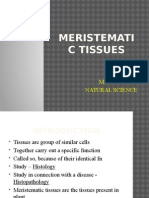 meristematic tissues