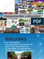 Componentes culturales.pptx