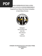 Download GAGAL GINJAL KRONIK by Hickaru Mitsuke Rhaena SN290113113 doc pdf