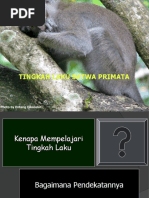 Download Tingkah laku SP by Clearesta Akin SN29011431 doc pdf