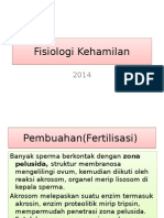 Fisiologi Kehamilan