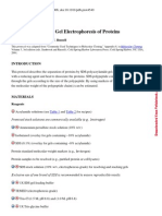 SDS-Polyacrylamide Gel Electrophoresis of Proteins