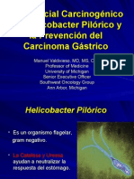Carcinogenica de H. Pilori