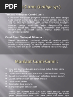 Download Cumi-cumi by Wiznu Murti SN290131782 doc pdf