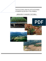 SILVICULTURA DE PLANTACIONES FORESTALES EN COLOMBIA