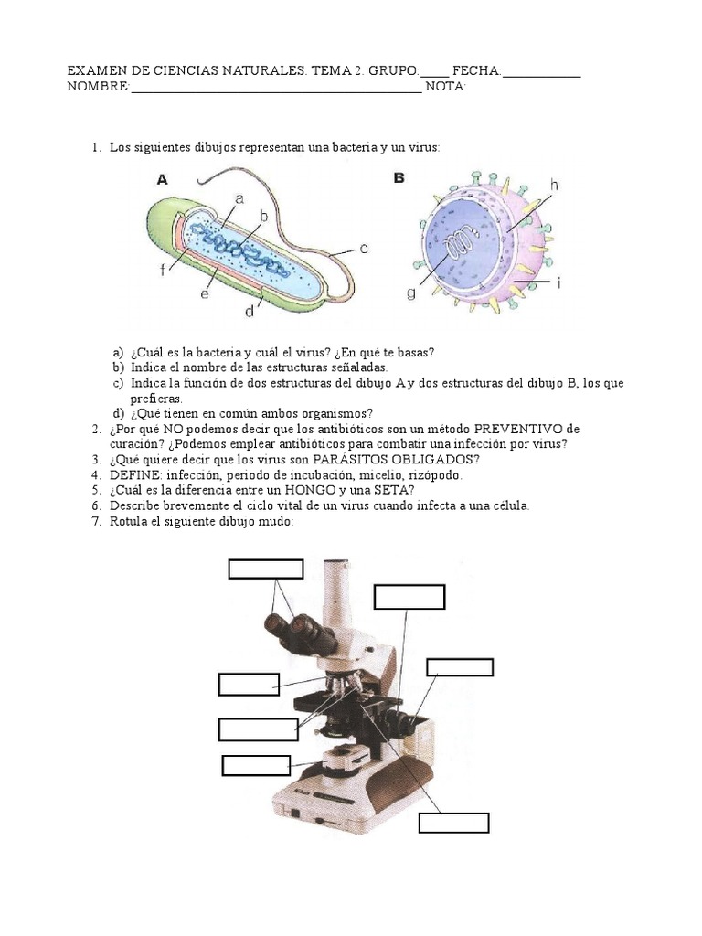 Examen de Ciencias Naturales: Microorganismos | PDF
