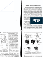 Fiziologia Aparatului Cardio-Vascular