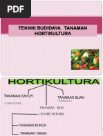 Download Budidaya Tanaman Hortikultura by MahdyAribZ SN290158421 doc pdf