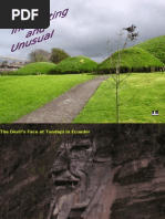 Download Interesting and Unusual by Joshua SN29017018 doc pdf