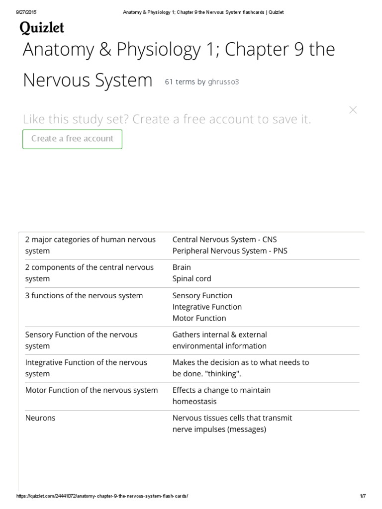 Anatomy & Physiology 1 Chapter 9 The Nervous System Flashcards ...
