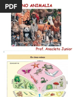 Reino Animalia - Prof. Anacleto.ppt