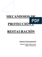 SNCP-MS SPRING Proteccion&Restauracion