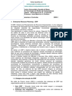 Governanca_erp Cobit e Itil 2009