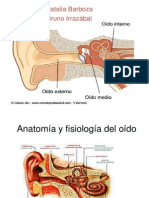 Anatomia y Fisiologia Del Oido