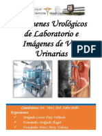 Exámenes Urológicos de Laboratorio e Imagenes de Vias Urinarias Urologia