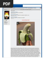 Receitas Banana Verde