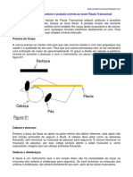 Instruções Sobre A Posição Das Mãos e Dos Dedos