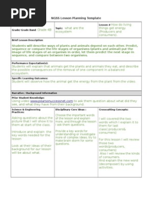 lesson plan 8
