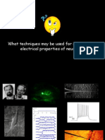 1.10.2014 Cellular Physiology II