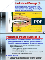 Perforation Damage