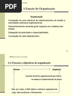 V - Função Organização.ppt