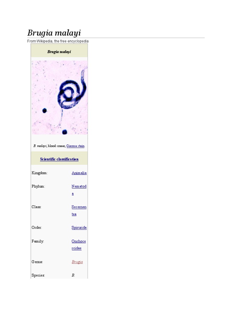 Brugia Malayi PDF Health Sciences Microbiology