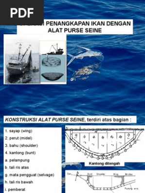 Operasi Alat Purse Seine Pdf