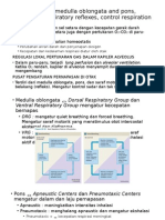 Slide Respirasi