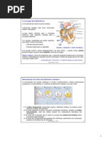3. Sistema Cardiovascular Parte II