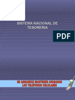 Sistema Nacional de Tesoreria