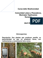 Biodiversidad en La Comunidad Lobos y Pescaderos Tepeh Durango
